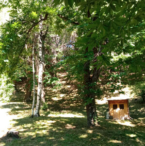 7f6eefcc2494fbfc1aaae1f7037c5e9f03d71777