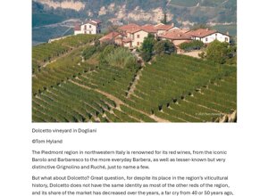 dolcetto%20-%20most%20understood%20wine%20in%20forbes%20by%20tom%20hyland%2011%20(1)2.jpeg