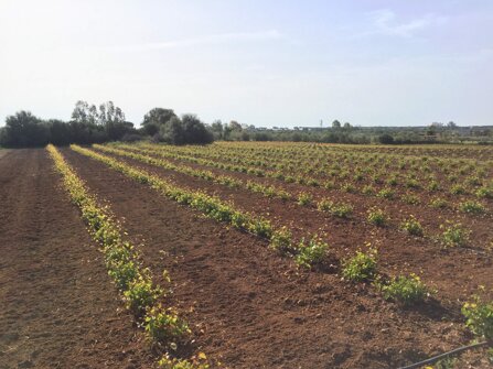 610951b7e7008097facb15445fb5c90fbfc02ef6 610951b7e7008097facb15445fb5c90fbfc02ef6