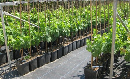 769889fa306c54f562136b962201e641fe0ae906 769889fa306c54f562136b962201e641fe0ae906