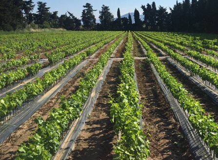 c0d358fdbd109e916ea6b476affa6d4f204d73de c0d358fdbd109e916ea6b476affa6d4f204d73de