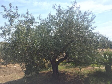 c8dc604a473cf52adc7f9ccf560e414d4dc7f6db