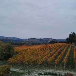 e569dbc78407920e9a1d7595e2ede009e2c2ee19