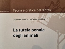 1dd598c70f61bb6bf28f7b4f7b3701f25cc0677e 1dd598c70f61bb6bf28f7b4f7b3701f25cc0677e