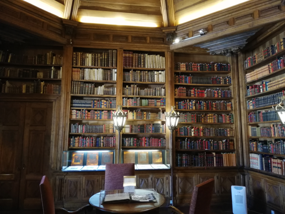 97b3dd65-4509-42a1-a600-e10a837422cd