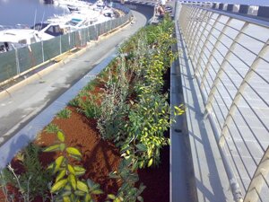 Realizzazione aiuole Realizzazione aiuole