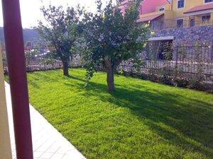Posa tappeto erboso a rotoli Posa tappeto erboso a rotoli