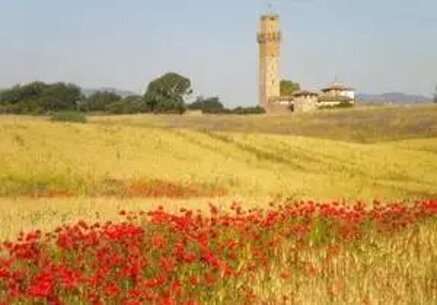 3e8af34a661bd20173ab38ea952f8d98661428a8