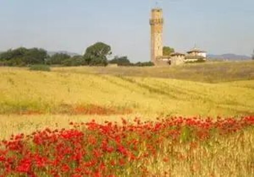 3e8af34a661bd20173ab38ea952f8d98661428a8