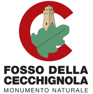 bf89b94c121b88ff6b3002df080ca297d29ab36d