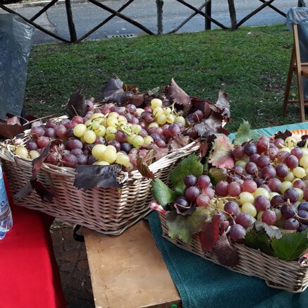 c3c0953e5990656cc4a74e1ed7e828475888319b