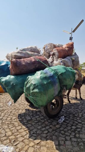 whatsapp image 202.jpeg