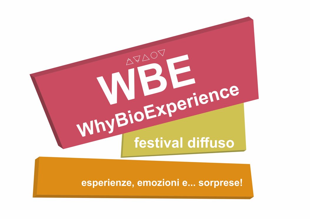logo wbe web.jpeg