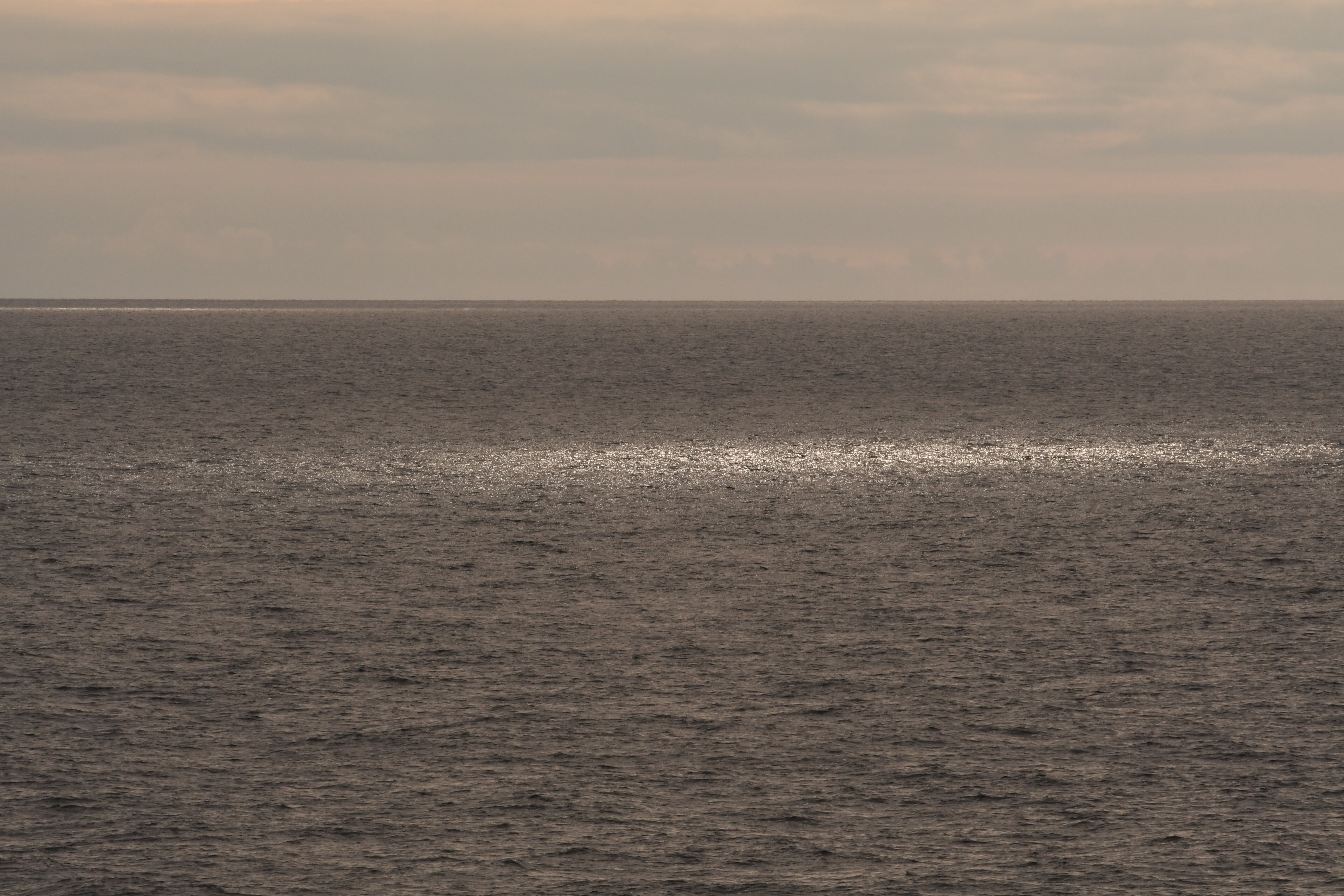 Als* Serve un pizzico di sale per trasformare il virtuale in reale. Als* Serve un pizzico di sale per trasformare il virtuale in reale.