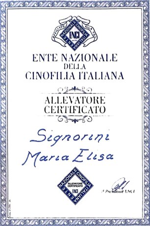 foto_certificazione.jpeg