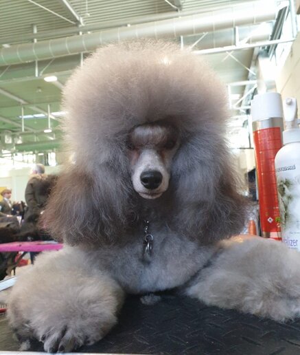 6dd1fff3c685c843d904d963212f641ca02d6f5c