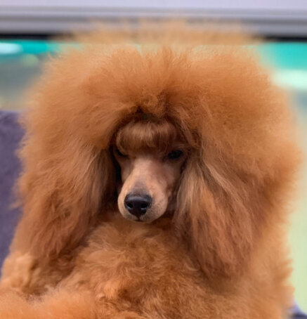 868b34d80bdc65c9c26002db278df6130f124436