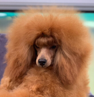 868b34d80bdc65c9c26002db278df6130f124436