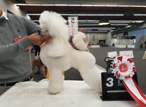 fe06887c46eee4298314a14e5484d738917a4b16