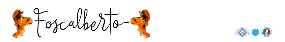 fe06887c46eee4298314a14e5484d738917a4b16