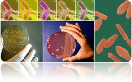 5200173a410d5358bcc742de910a2d98a0cf1fe7 5200173a410d5358bcc742de910a2d98a0cf1fe7