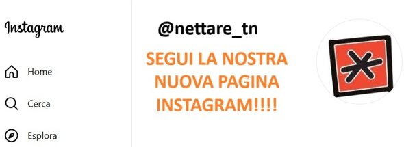 instagarm nettare.jpeg instagarm nettare.jpeg