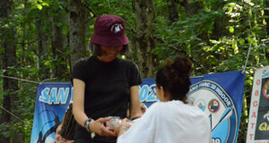 dsc_0624.jpeg