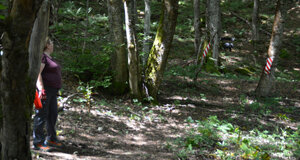 dsc_0275.jpeg