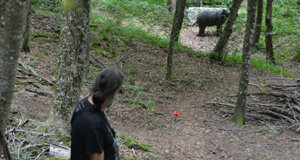 dsc_0316.jpeg