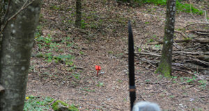 dsc_0309.jpeg