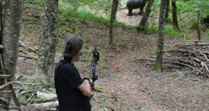 dsc_0330.jpeg