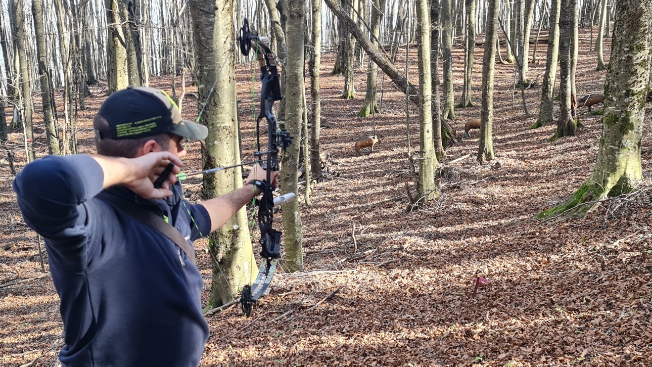 a58ddf4c62886d7e9a5820d5f45d7a3b65bf2167