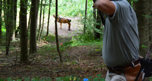 dsc_0512.jpeg