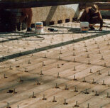 50cd57e64b14d76d3d93a8d6b0bae07354ddf791.jpeg 50cd57e64b14d76d3d93a8d6b0bae07354ddf791.jpeg