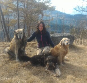 27a0c0bf47eeee4c1a7ae7e83792849b464b4b92