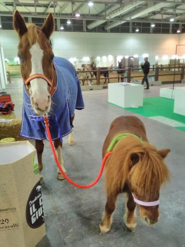 3aeb2d6c1923f70730f8eeba0a8e3cabdccf2059