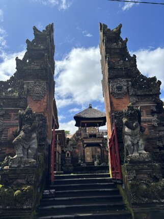 ubud 5.jpeg