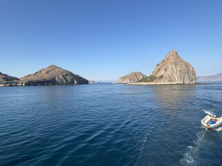 komodo national park 7.jpeg