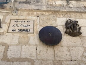 img_3644.jpeg