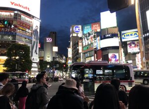 img_8567.jpeg