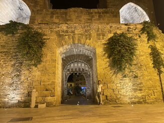 palma de mallorca 14.jpeg