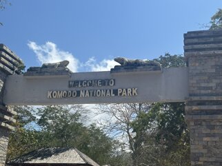 komodo 1.jpeg