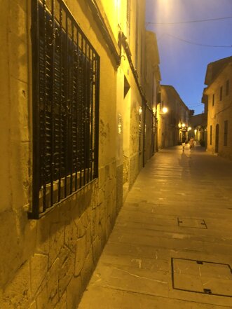 palma de mallorca 6.jpeg
