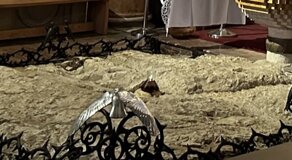 img_1705.jpeg
