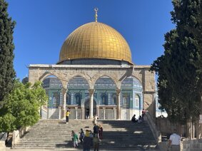 img_3941.jpeg