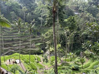 indonesia 15.jpeg