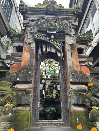 ubud 3.jpeg