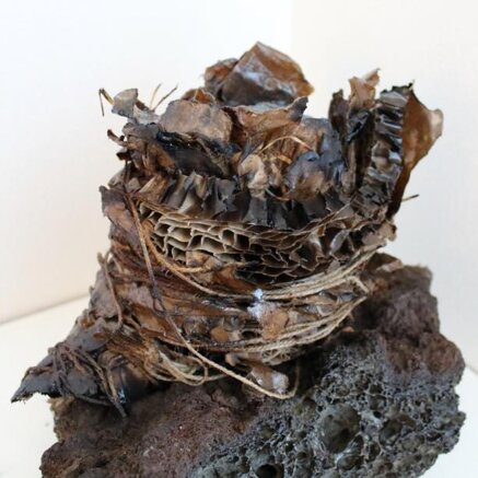 239be3a50fb90ff59bdc31243f744e42f4fa8f4f 239be3a50fb90ff59bdc31243f744e42f4fa8f4f