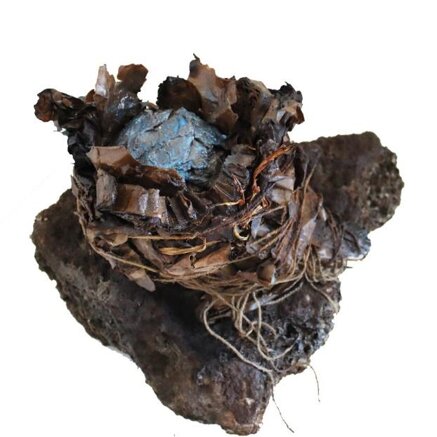 3ca72bb496373a936488390c7e175a3a25410df3 3ca72bb496373a936488390c7e175a3a25410df3