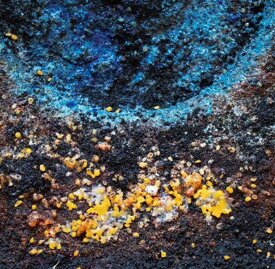 43a2970589dec1e25cc6d3f4518191459bb2d2c1.jpeg 43a2970589dec1e25cc6d3f4518191459bb2d2c1.jpeg